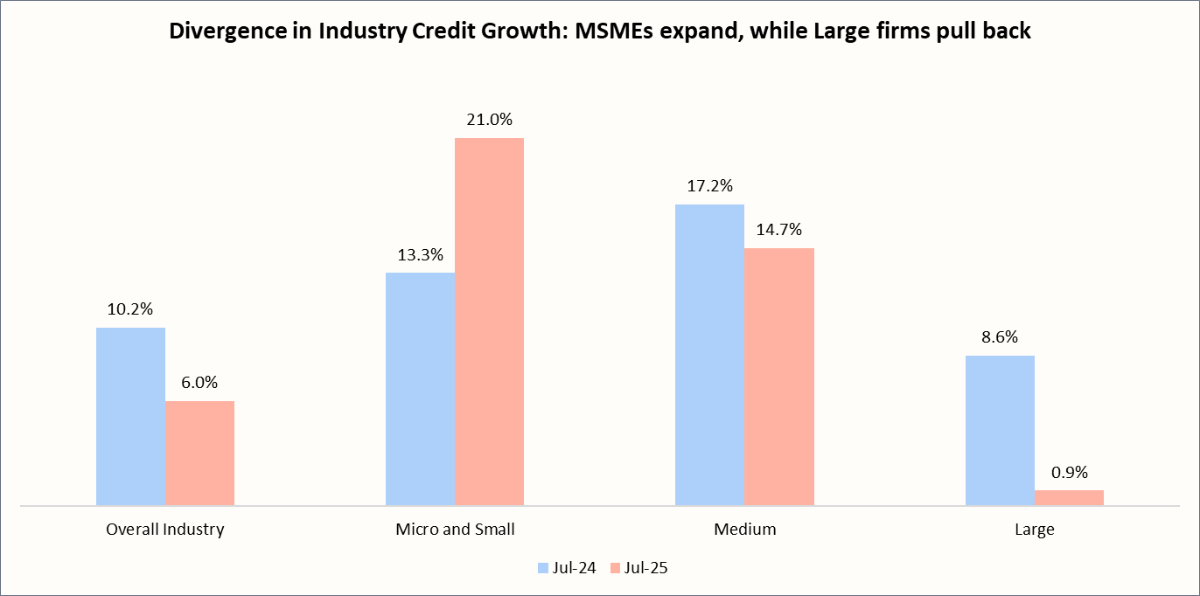 Divergence In Industry Credit Growth: MSMEs expand, while Large firms pull back